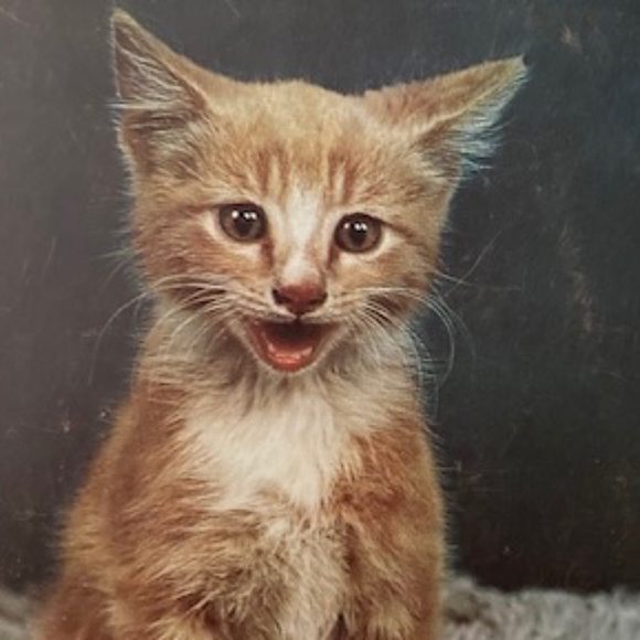 Vintage Anthony Jewelry Set in Original Box - Picture 16 of 16